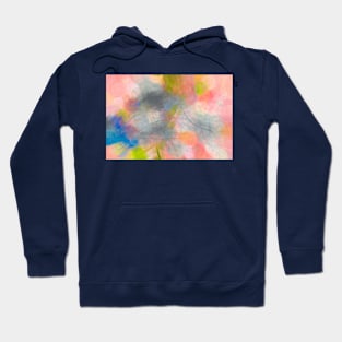 Designer 011424 x25 Hoodie